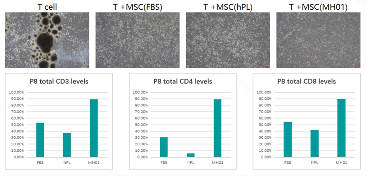 MSC Serum-free Medium MH01