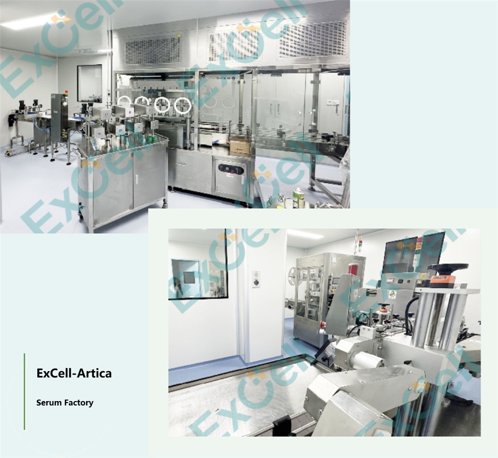 Excell Bio T Cell Serum-Free Culture Medium Helps Customers Successfully Obtain Fda New Drug Clinical Trial (Ind) Approval