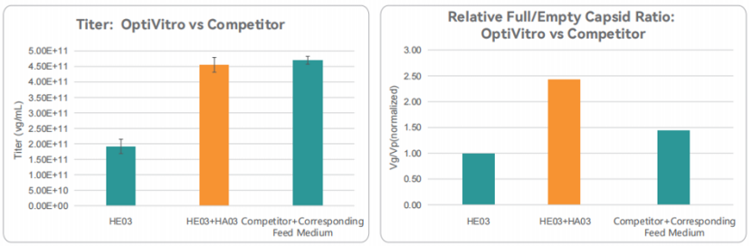 Customizing HEK293 Media for Specialized Research Needs