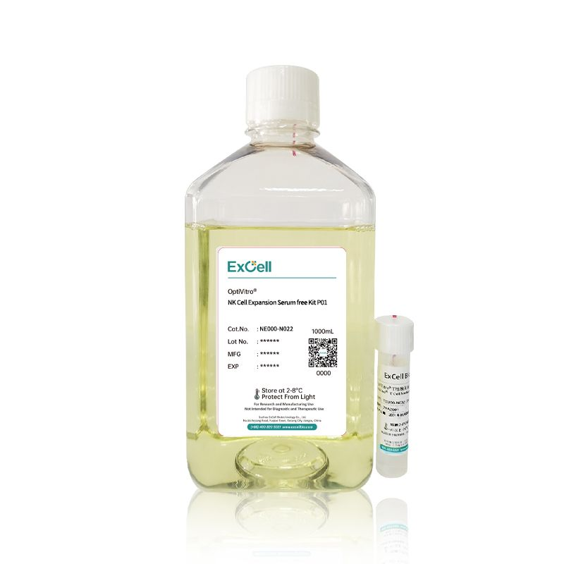 Optimizing NK Cell Culture for Improved Cytotoxic Performance