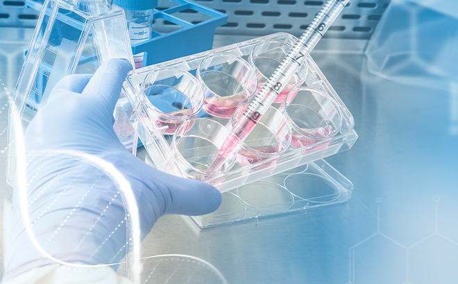 How Does Custom Media Enhance Recombinant Protein Production?cid=23