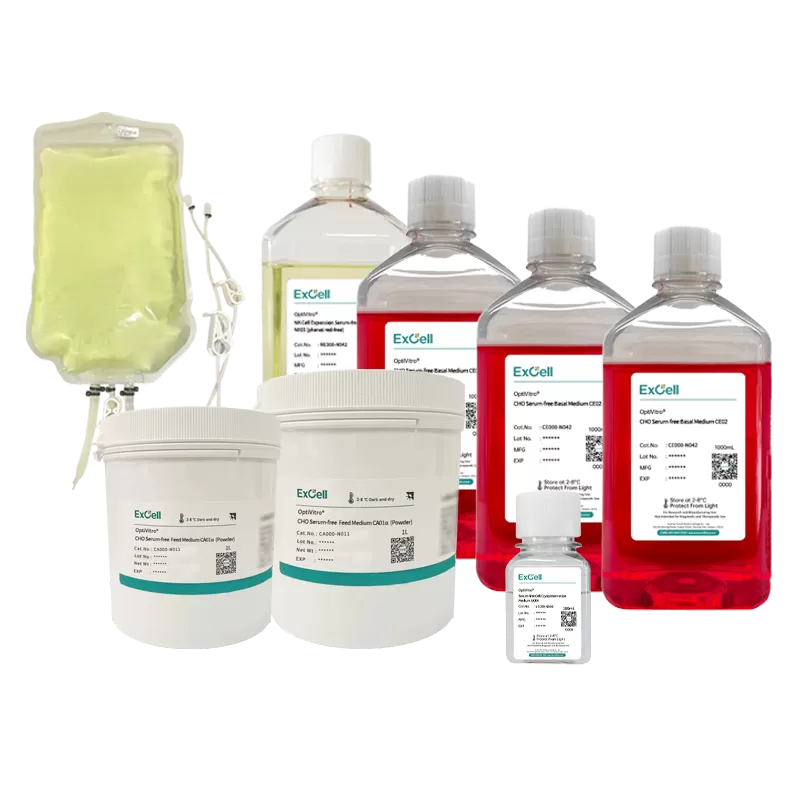 Why Trust Excell Media for Your Critical Cell Culture Experiments?