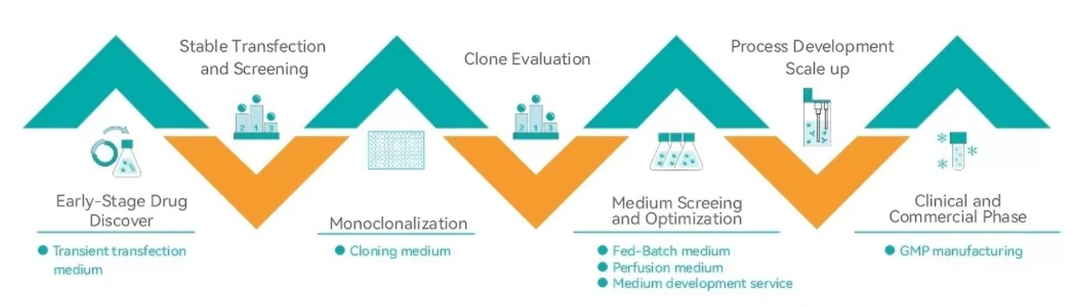 What Does CHO Stand for in Microbiology Selective Media?