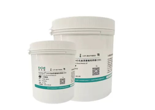 What Is CHO Media and Why Is It Essential for Biopharmaceutical Production?