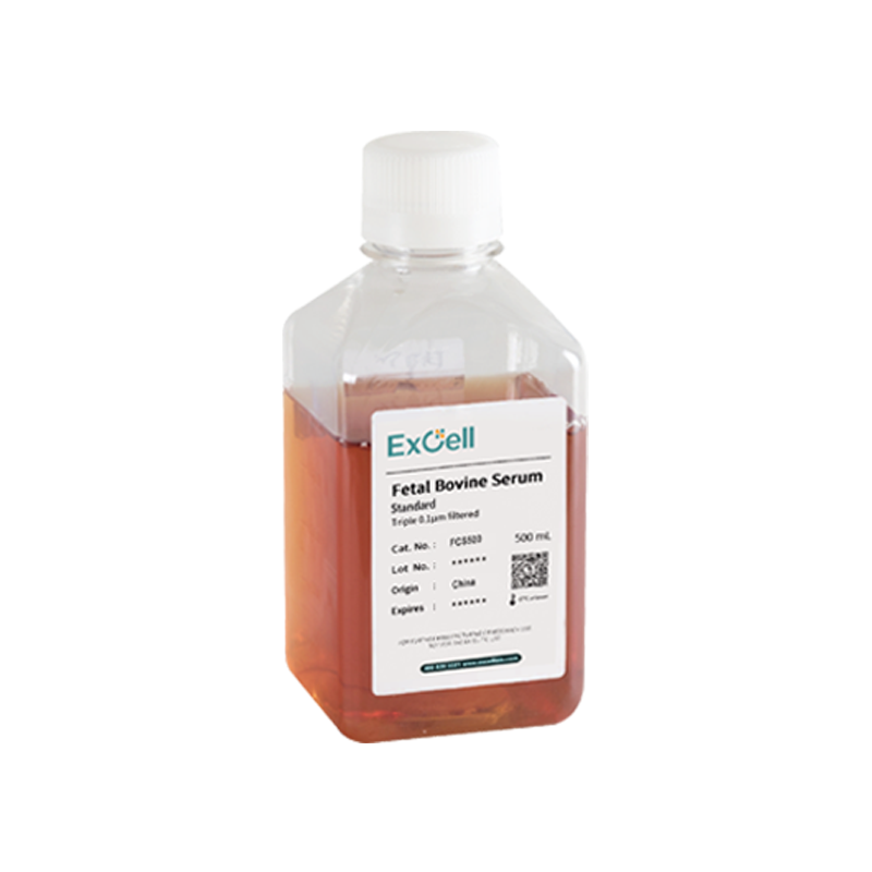 Fetal Bovine Serum (Standard) FCS500