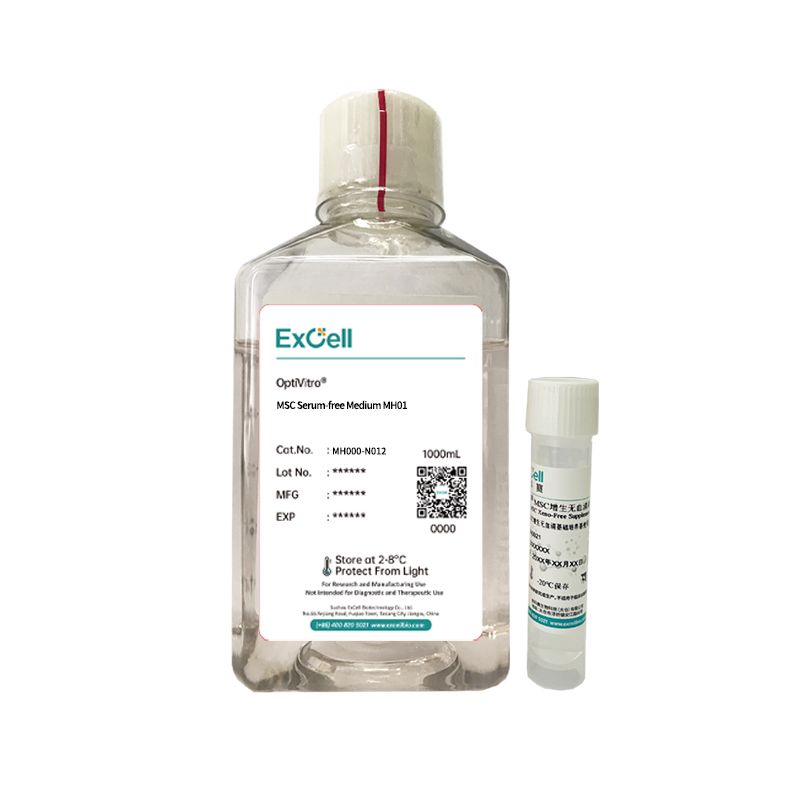 MSC Serum-free Medium MH01