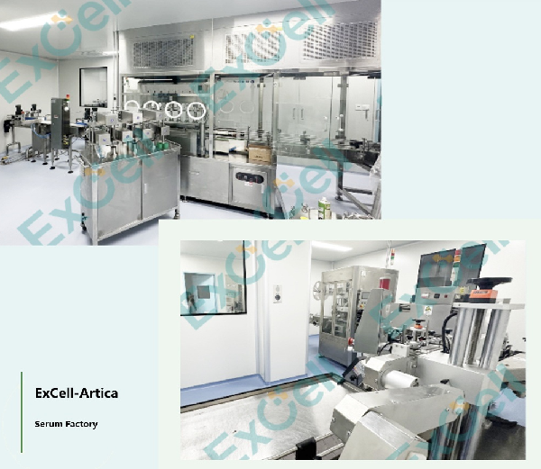 Excell Bio T Cell Serum-Free Culture Medium Helps Customers Successfully Obtain Fda New Drug Clinical Trial (Ind) Approval
