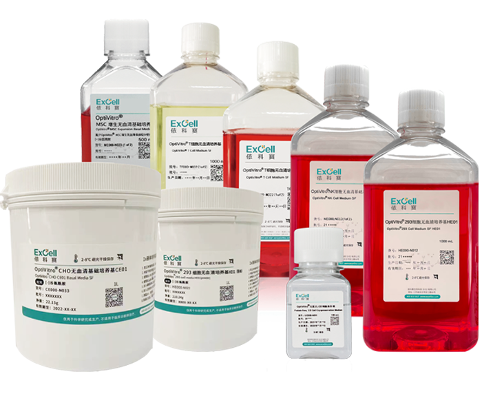 Serum-free Medium
