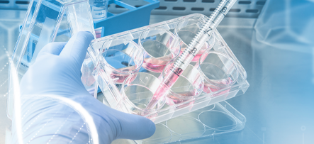 Stem Cell Therapy