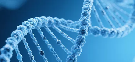 Ensuring Quality: A Supplier Qualification Checklist for GMP Media Providers