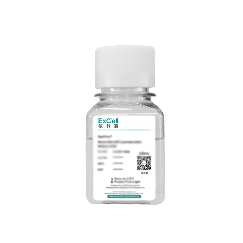 Optimizing Cell Growth with Targeted Serum Free Media Solutions