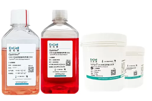 Maximizing Recombinant Protein Production with Efficient CHO Media Screening