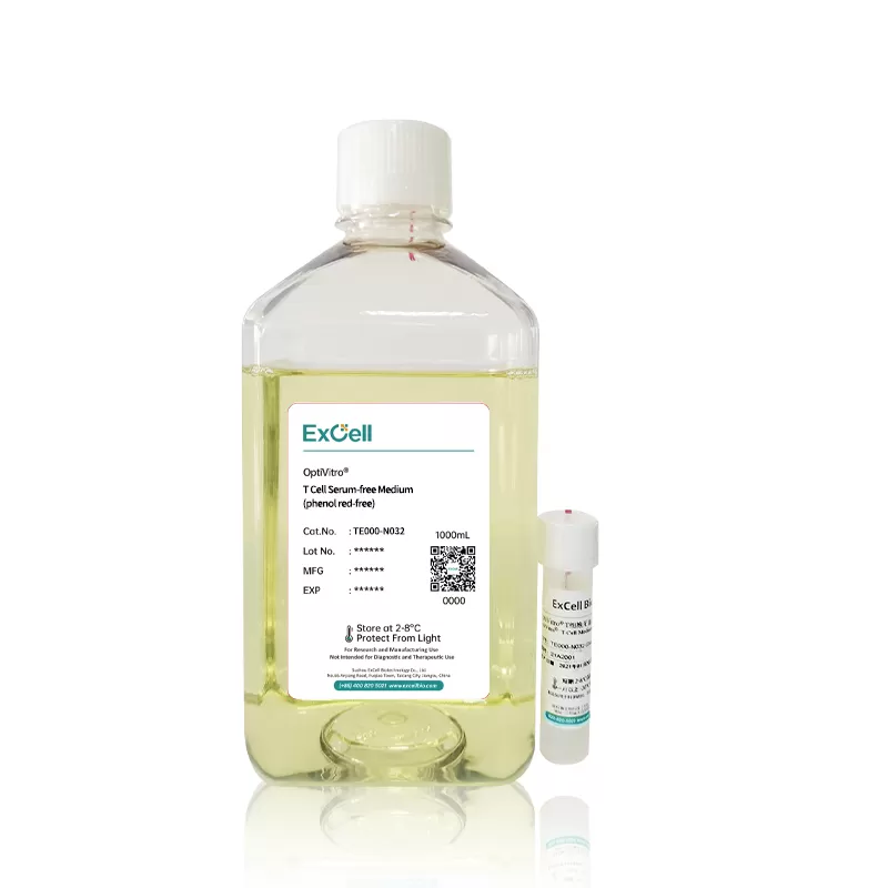 Fine-Tuning 2-Mercaptoethanol for Optimal T Cell Growth