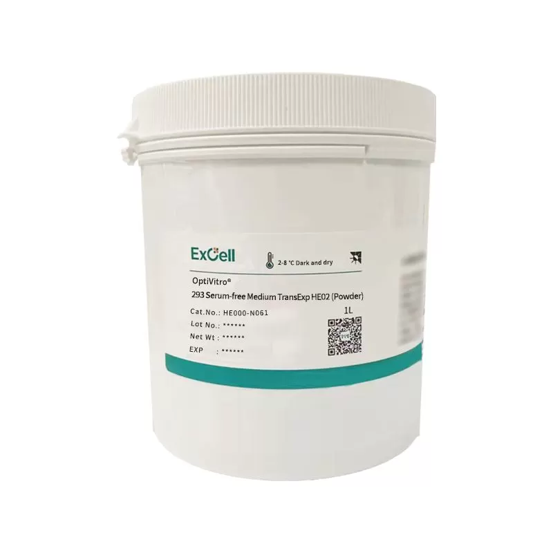 How Specialized HEK293 Media Enhances Cell Viability and Growth