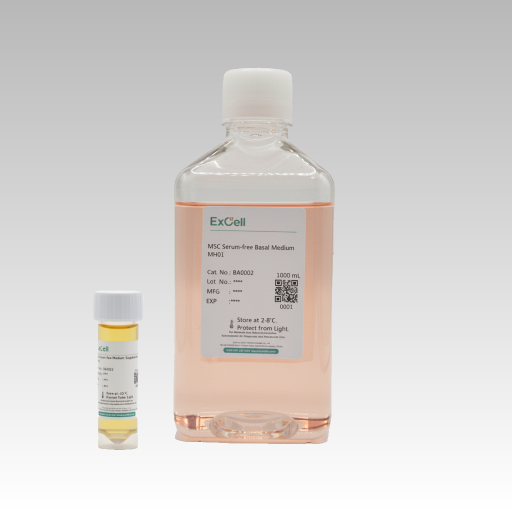 MSC Serum-free Medium MH02