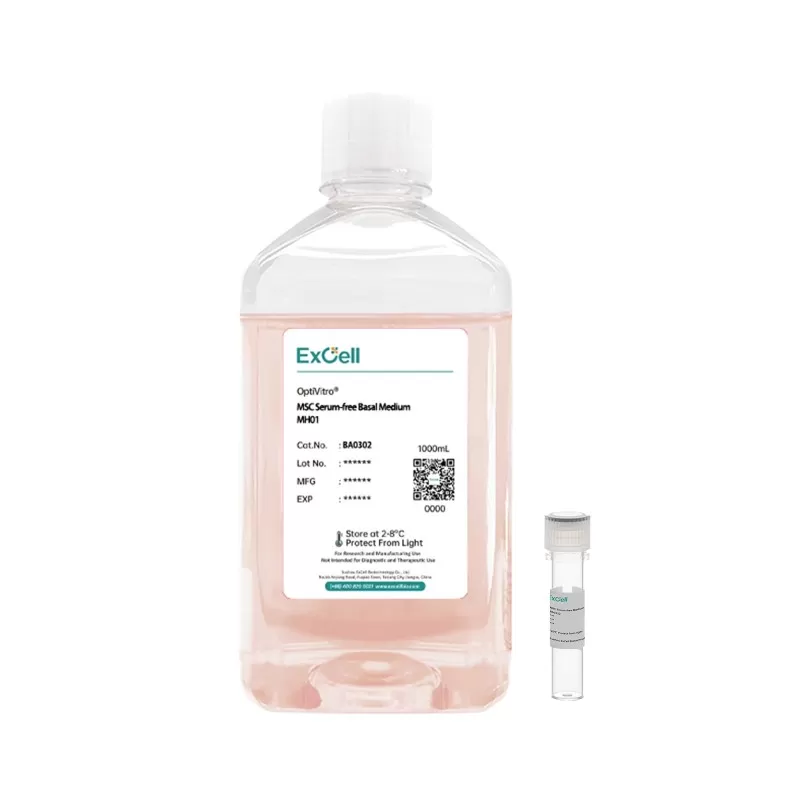 MSC Serum-free Medium MH02