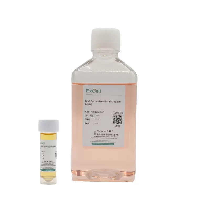 MSC Serum-free Medium MH01