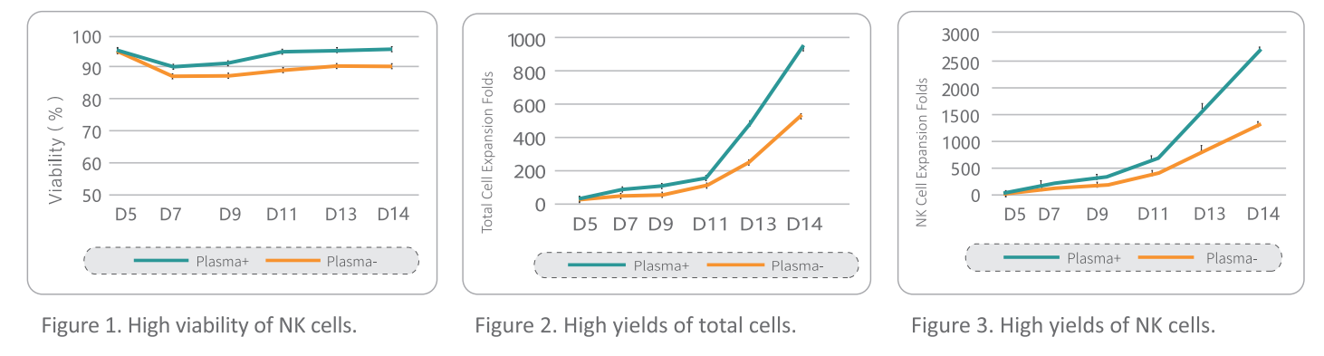 NK Cell Expansion Process